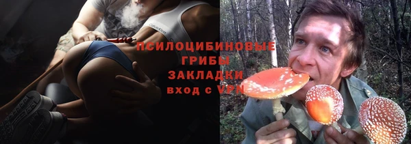 a pvp Аркадак