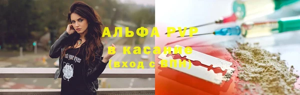 a pvp Аркадак